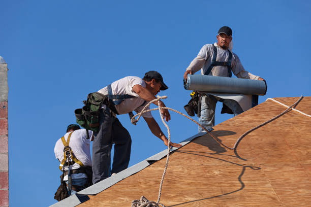 Best New Roof Installation  in Winnie, TX