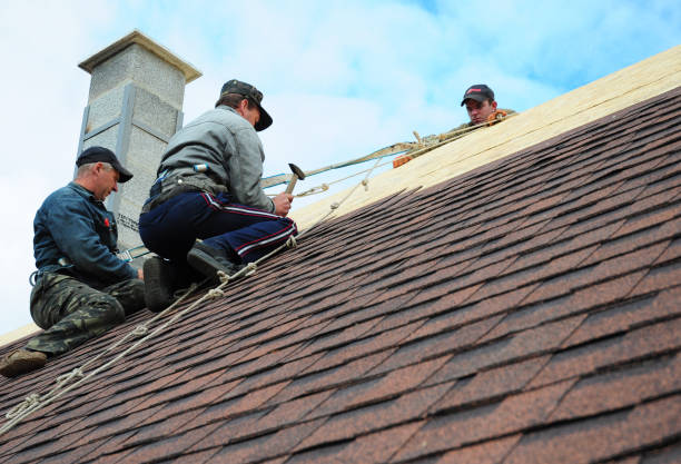 Best Storm Damage Roof Repair  in Winnie, TX