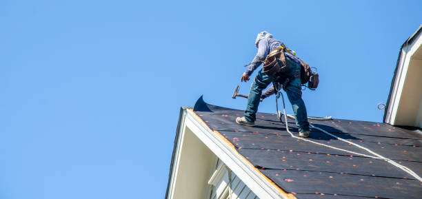 Best Roof Waterproofing Services  in Winnie, TX